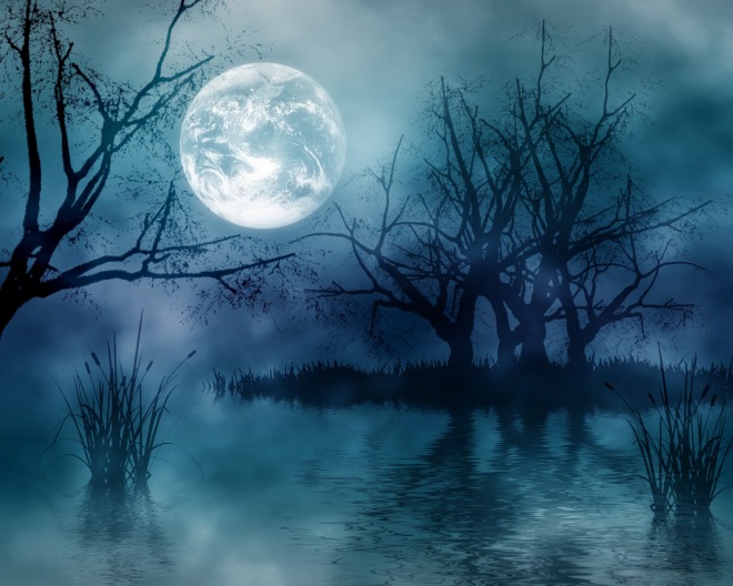 Dark-Forest-Moon-Wide-Wallpaper.jpg